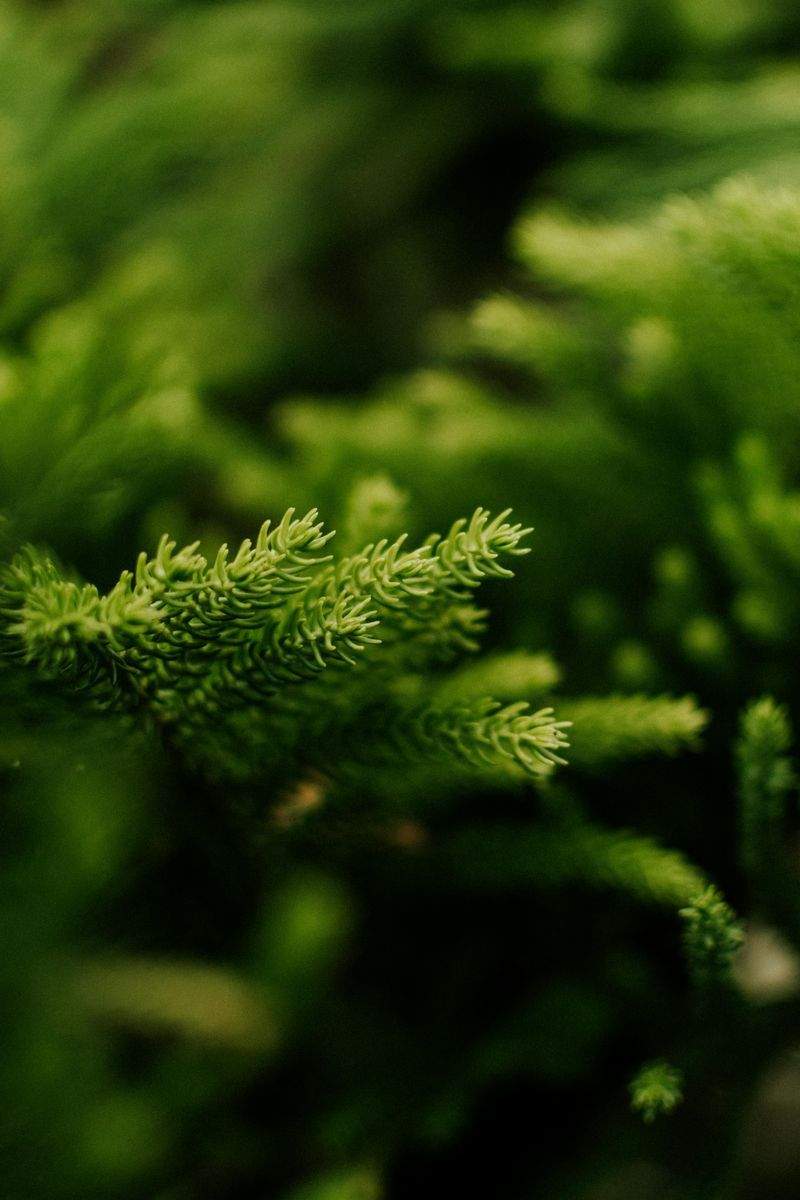 Grüne Oase GmbH - Image 10