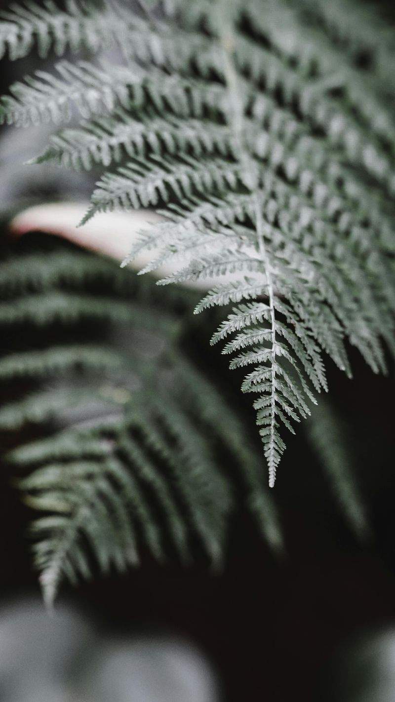 Grüne Oase GmbH - Image 15