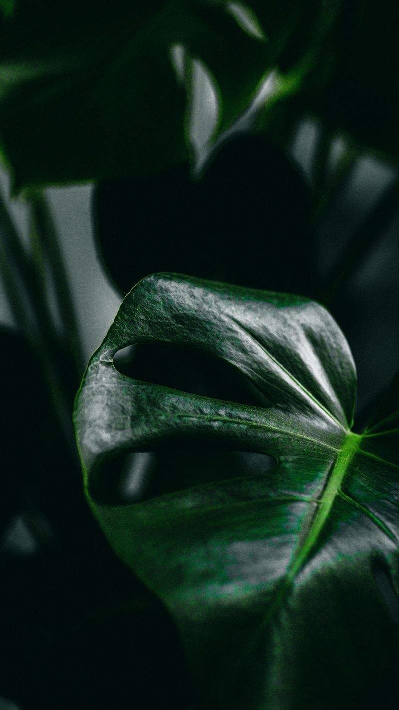 Grüne Oase GmbH - Image 2