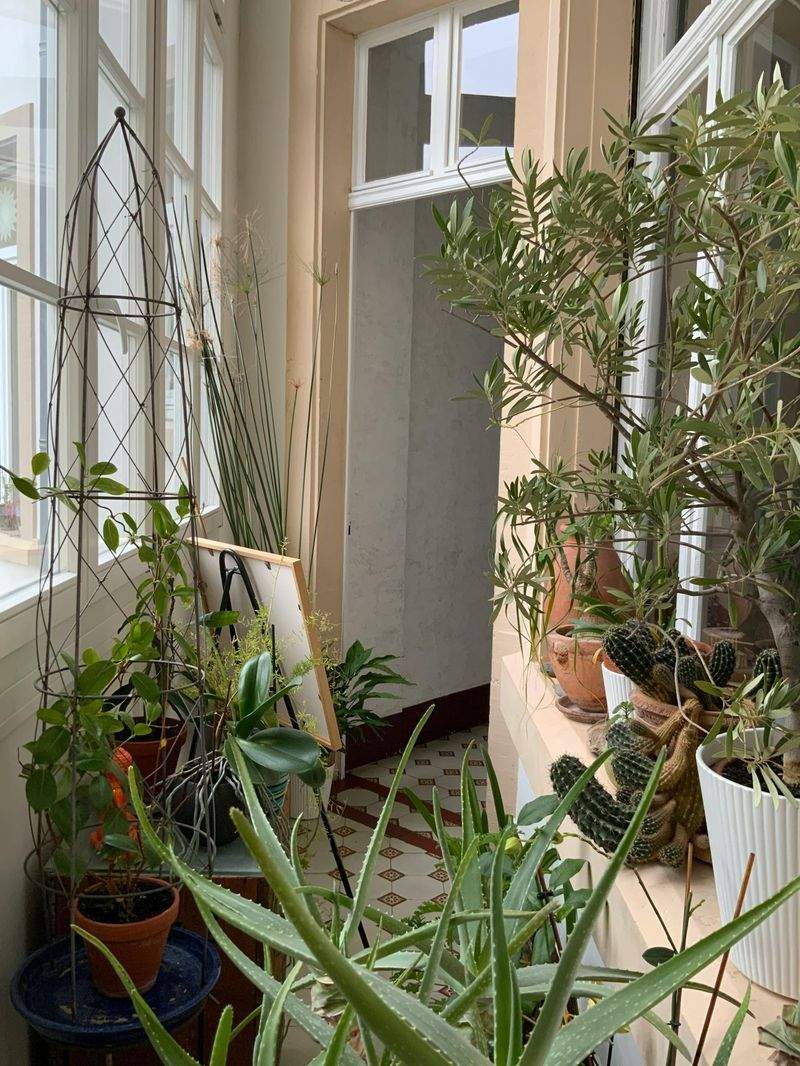 Grüne Oase GmbH - Image 8